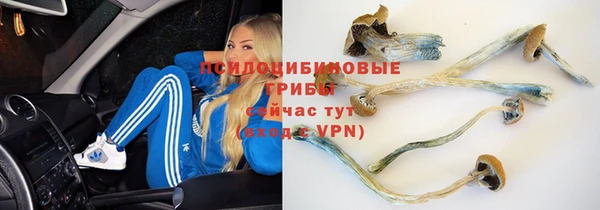 соль ск Абинск