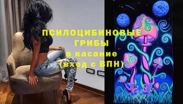 прущая мука Абаза