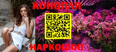 шишки Можайск