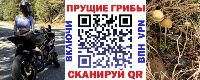 Галлюциногенные грибы мухоморы  блэк спрут рабочий сайт  Ялта 