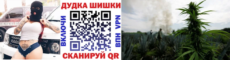 где можно купить наркотик  Ялта  это состав  Каннабис сатива 